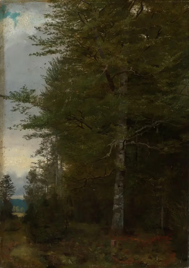 Дуб на краю леса by Ханс Тома, 1861 — digital art print download
