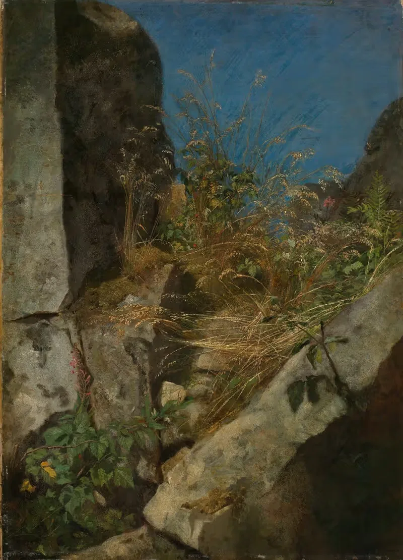 Травы между скалами by Ханс Тома, 1863 — digital art print download