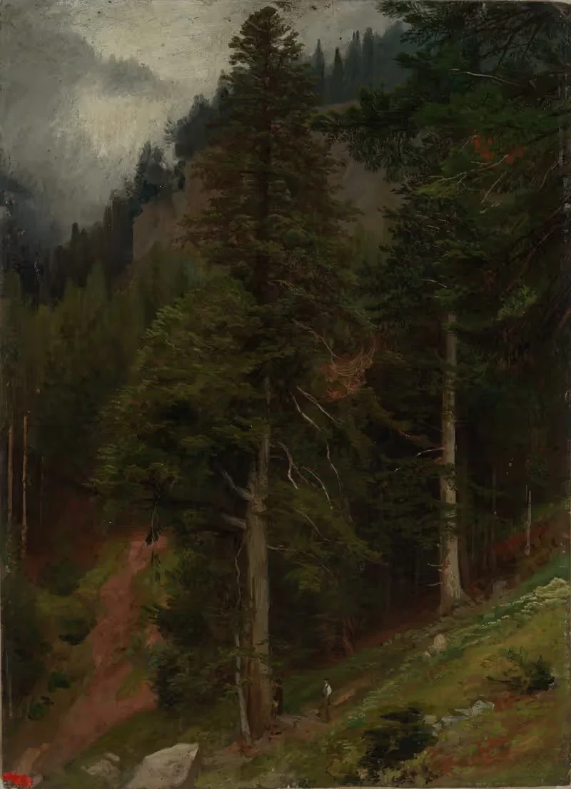 Склон в еловом лесу by Иоганн Вильгельм Ширмер, 1853 — digital art print download