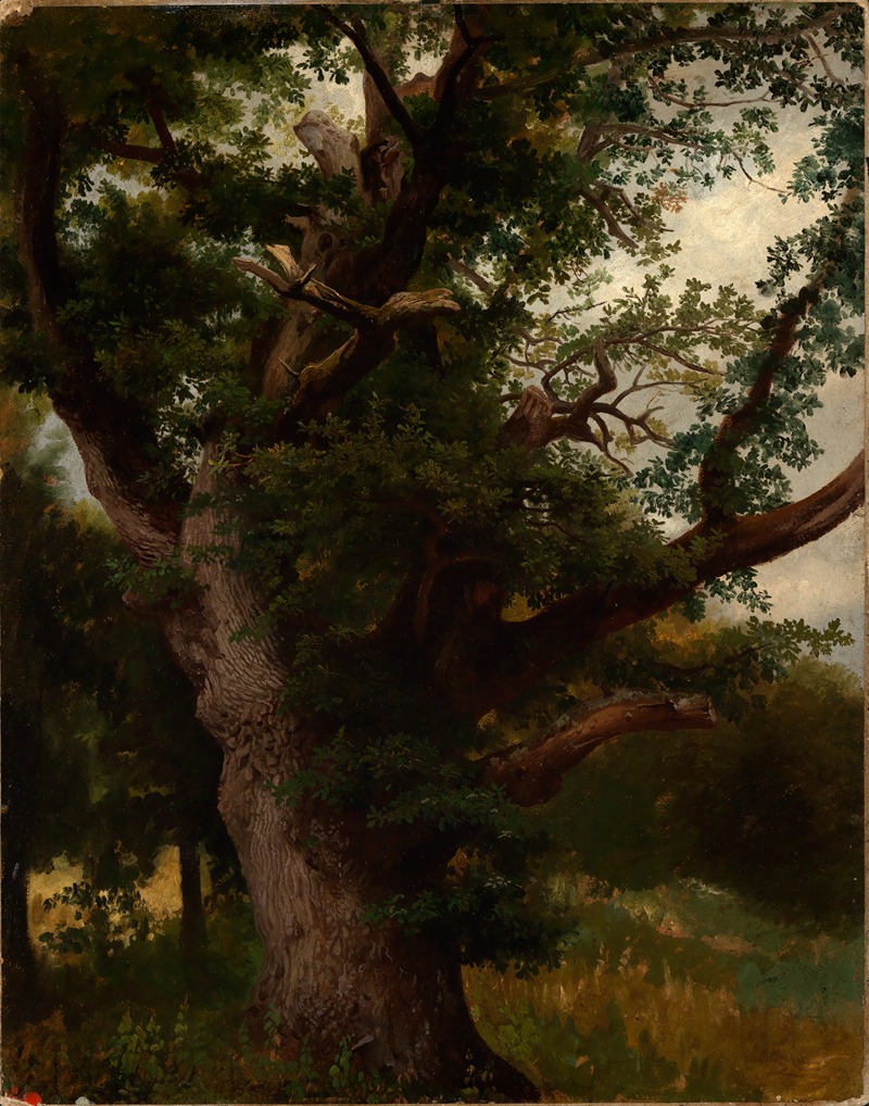 Айхбаум by Иоганн Вильгельм Ширмер, 1855-1860 — digital art print download