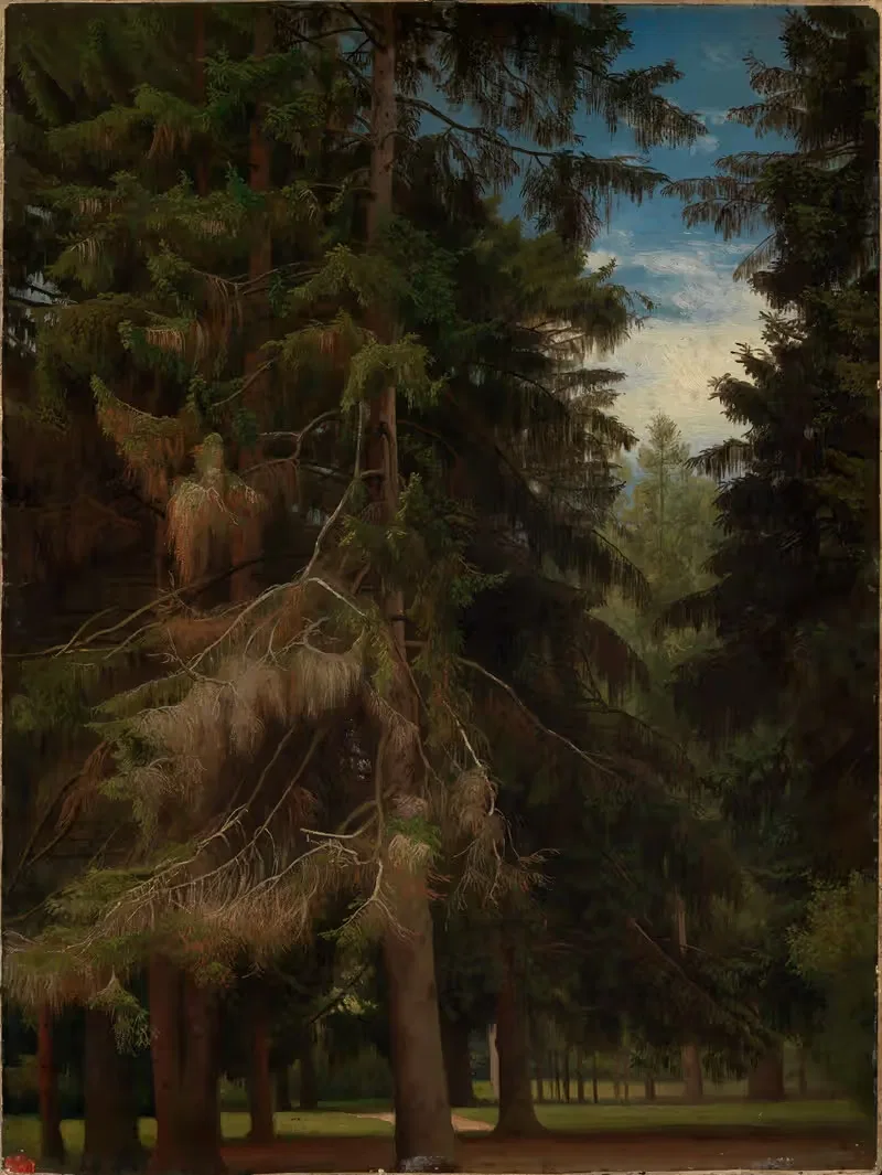 Поляна в еловом лесу by Иоганн Вильгельм Ширмер, 1854-1863 — digital art print download