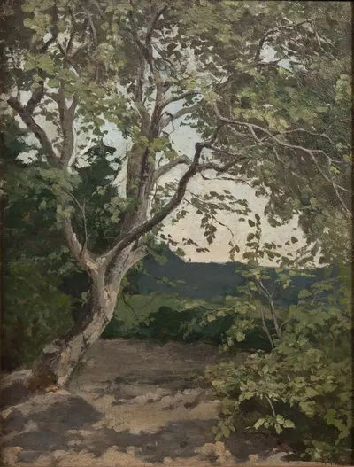 A Tree. Study by Anna Nordlander — digital art print download