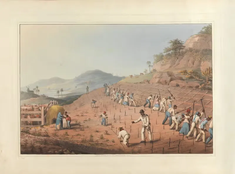 Копка, или скорее, прополка канав by Уильям А. В. Кларк, 1823 — digital art print download