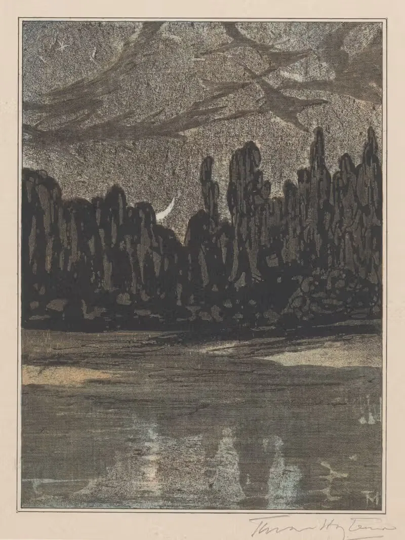 Nachtelijk landschap met trekvogels — Theo van Hoytema