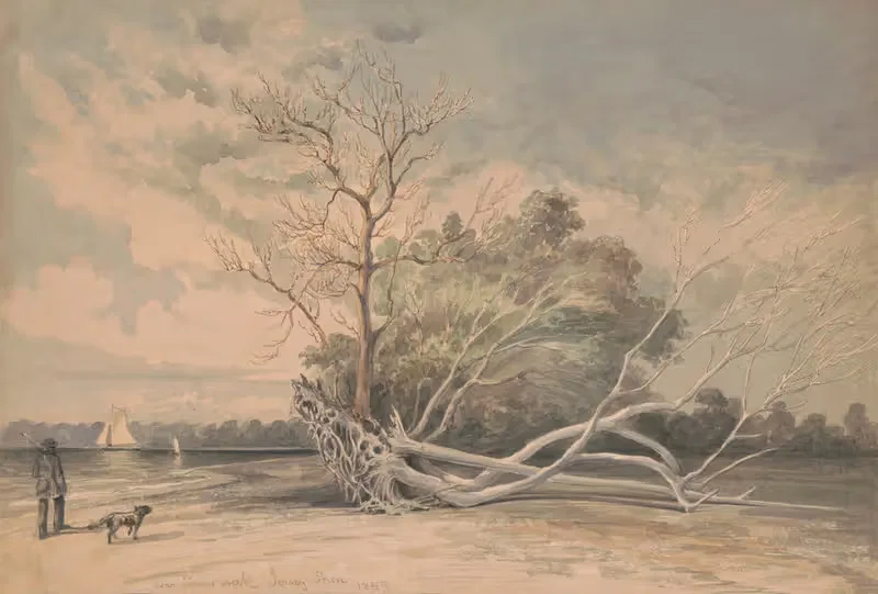 Near Timber Creek, Jersey shore — James Fuller Queen
