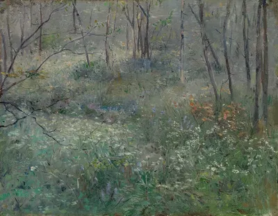 Дикая петрушка by Сара Пакстон Болл Додсон, 1900 — digital art print download