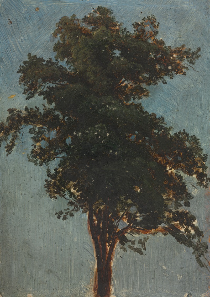 Tree Study by Alexandre Calame — digital art print download