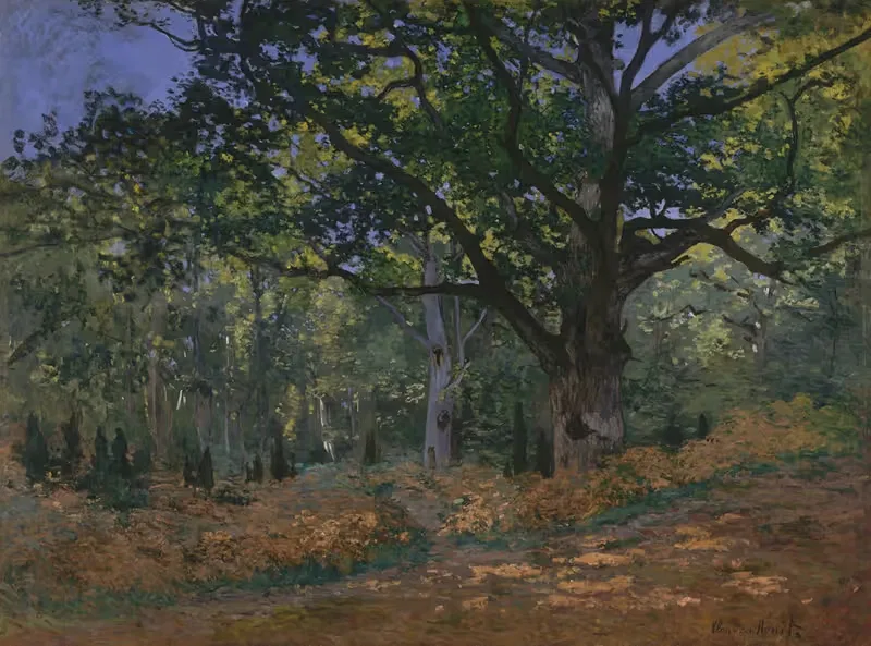 The Bodmer Oak, Fontainebleau Forest — Claude Monet