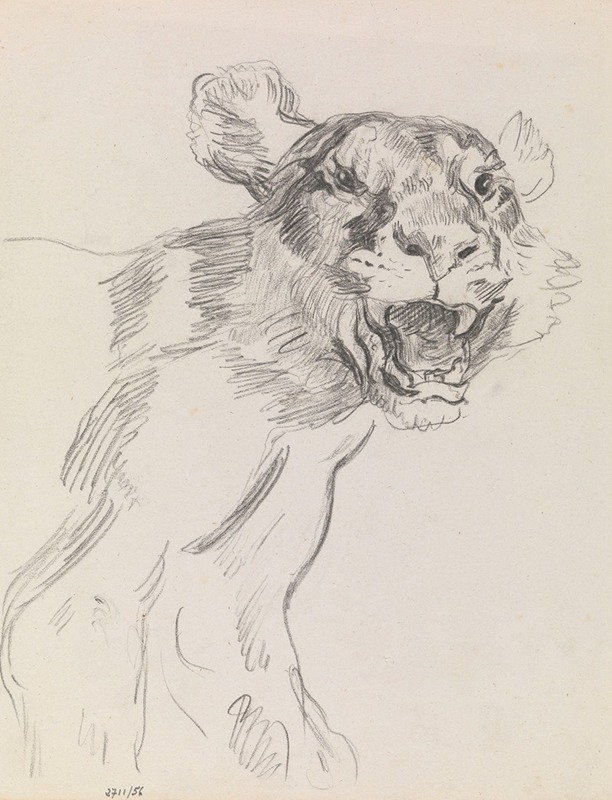 Study of a Wild Animal by Джеймс Энсор — digital art print download