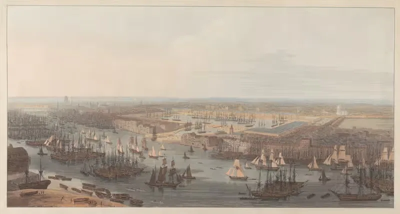 An Elevated View of the New Dock in Wapping — William Daniell