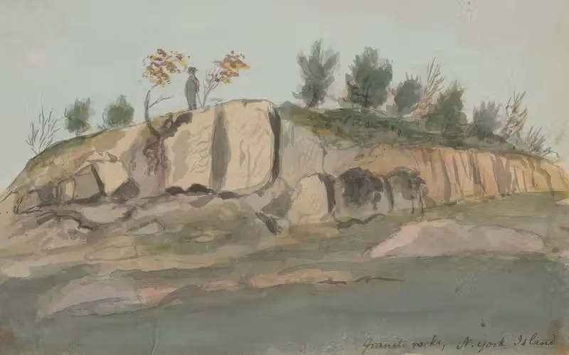 Гранитные скалы, остров Н. Йорк — Александр Андерсон