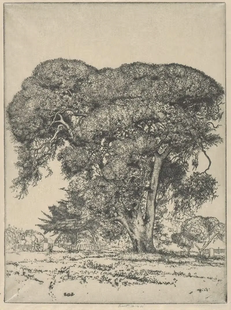 Cemetery Live Oak by Ernest Haskell, 1916 — digital art print download