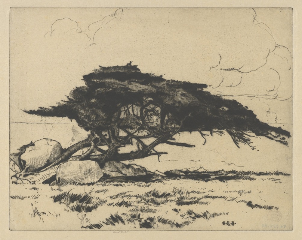 Дельфин by Эрнест Хаскелл, 1915 — digital art print download