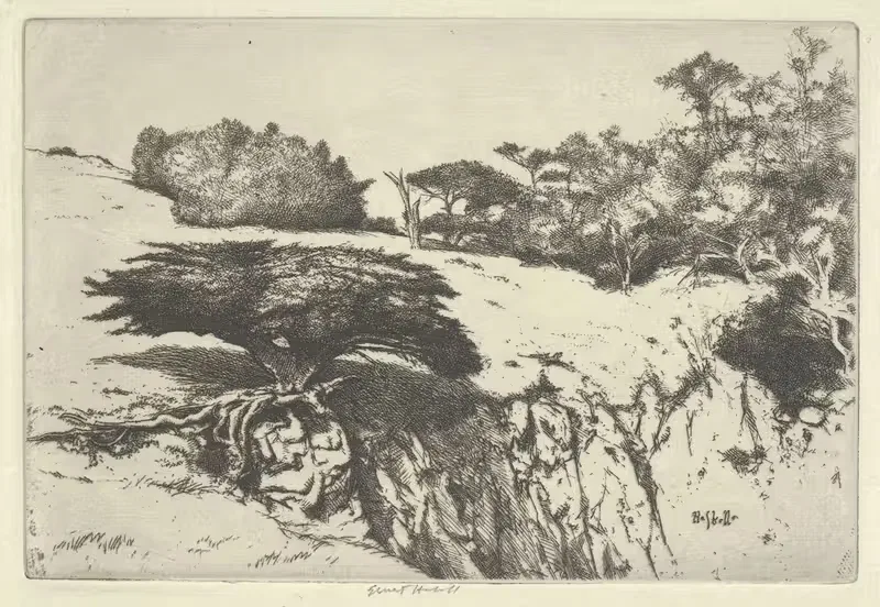 Дерево-фан и его каньон by Эрнест Хаскелл, 1915-1925 — digital art print download