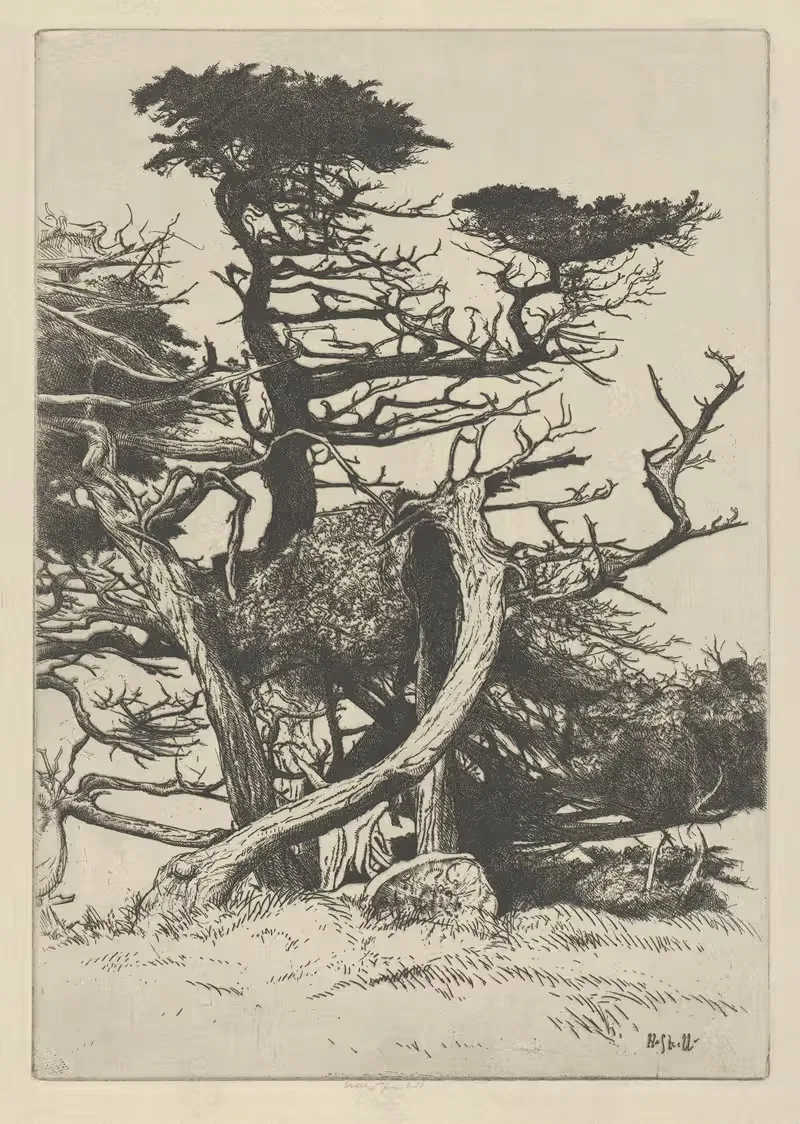 Линия красоты by Эрнест Хаскелл, 1920 — digital art print download