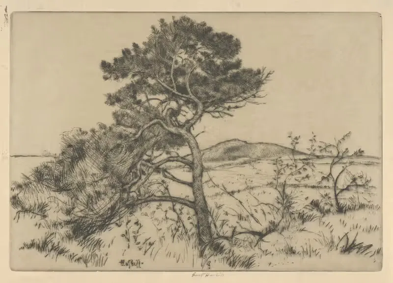 Popham Pines by Ernest Haskell, 1900-1925 — digital art print download