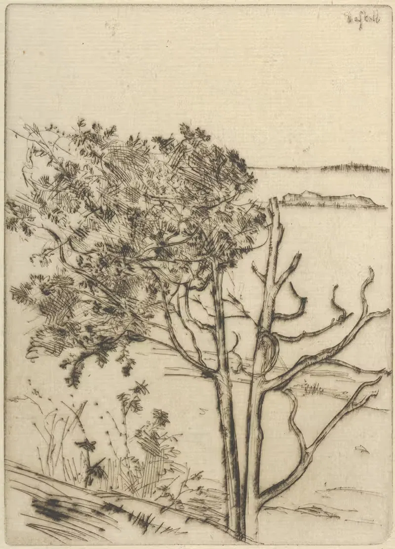 Ragged Tree – Maine by Ernest Haskell, 1903-1925 — digital art print download