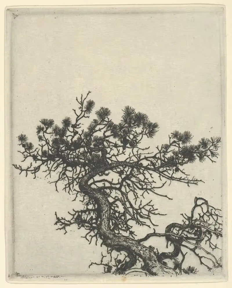 Горбун by Эрнест Хаскелл, 1900-1925 — digital art print download