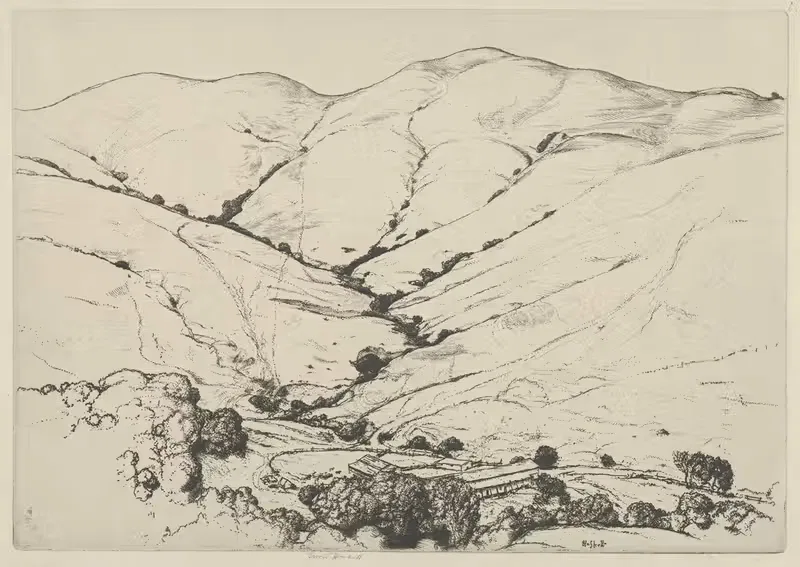 Дикая кошка Каньон by Эрнест Хаскелл, 1915-1925 — digital art print download