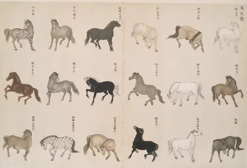 An illustration of horses — Shigeo Inobe (Editor)