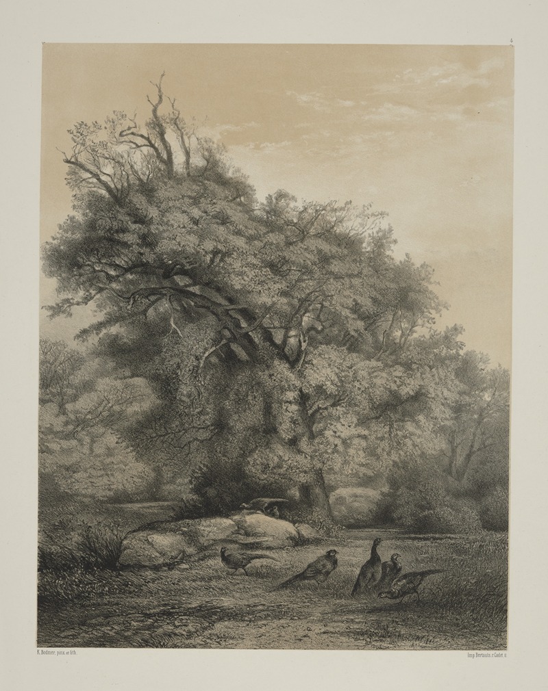 Фазаны by Карл Бодмер, 1858 — digital art print download