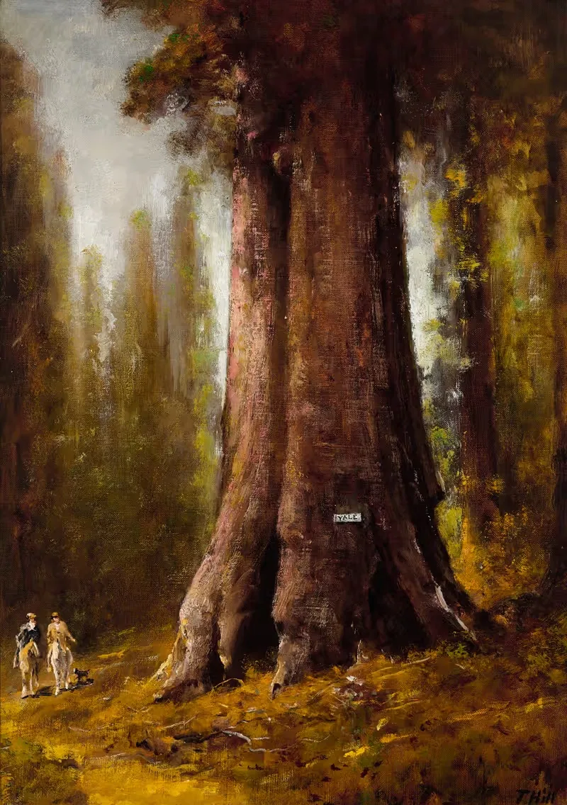 Калифорнийские секвойи by Томас Хилл — digital art print download