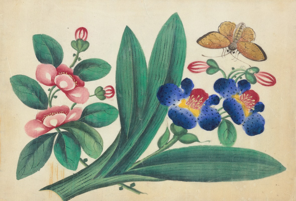 Flowers and butterfly by Аноним, 1800-1899 — digital art print download