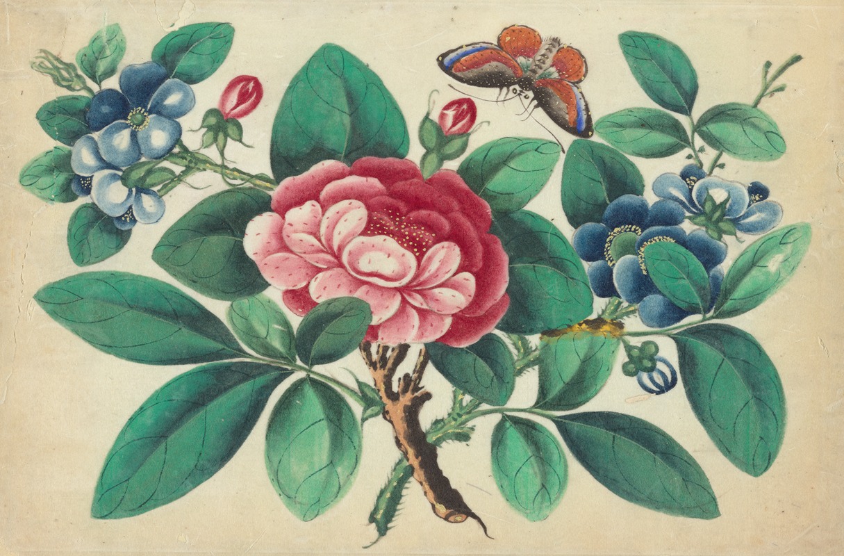Large red flower, blue flowers, butterfly — Anonymous