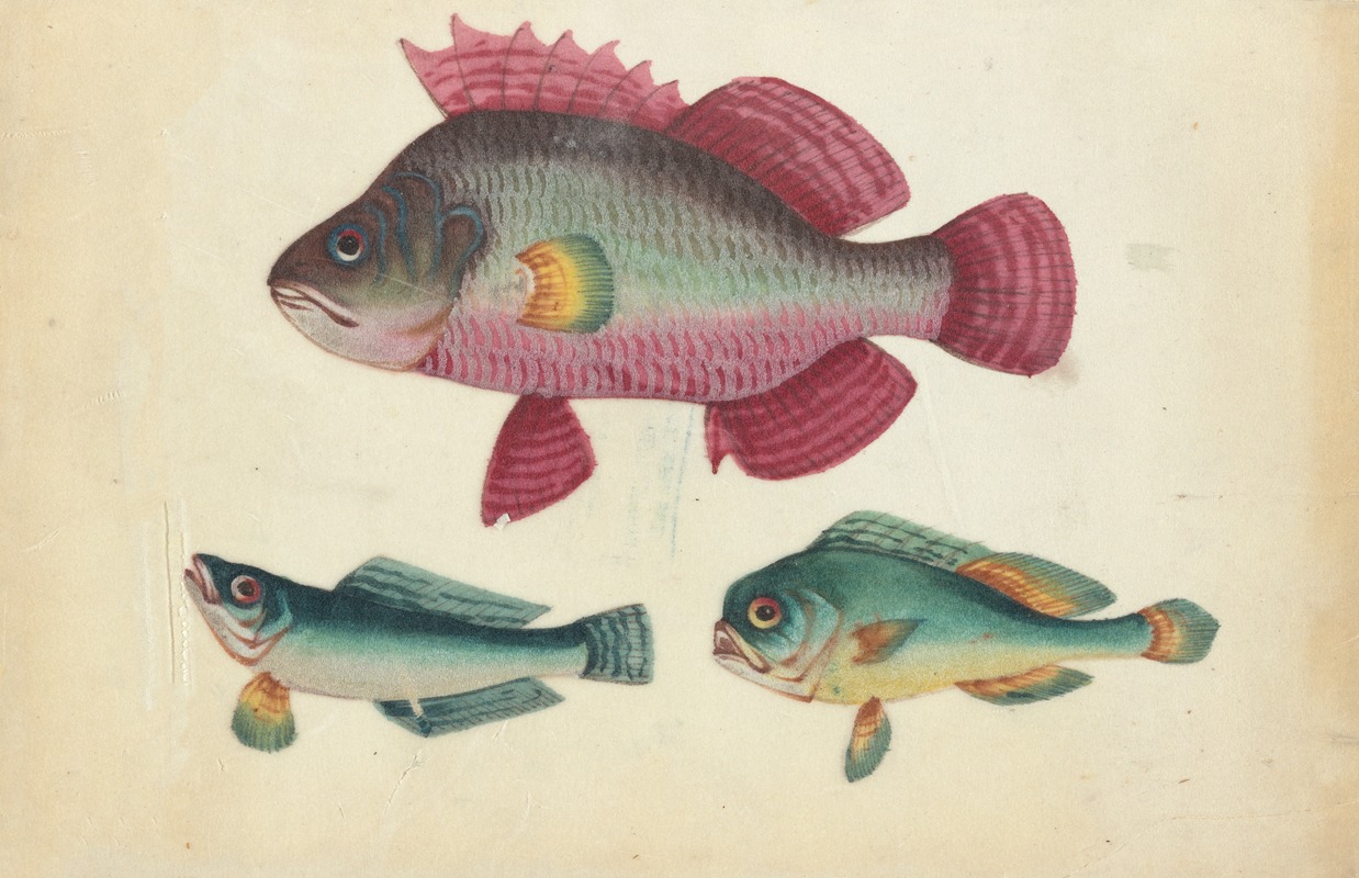 One pink fish, two green fish by Аноним, 1800-1899 — digital art print download