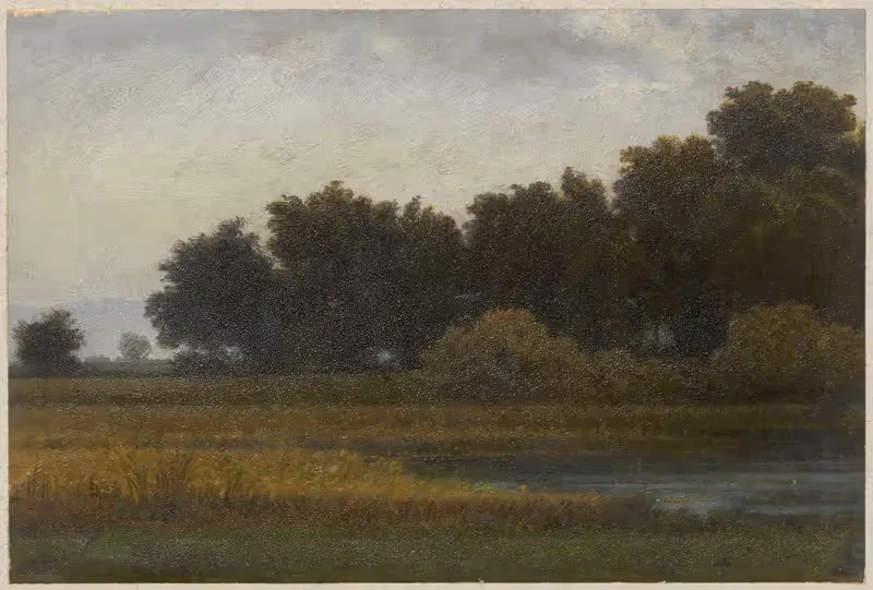 View of a meadow with a pond — Arthur Blaschnik