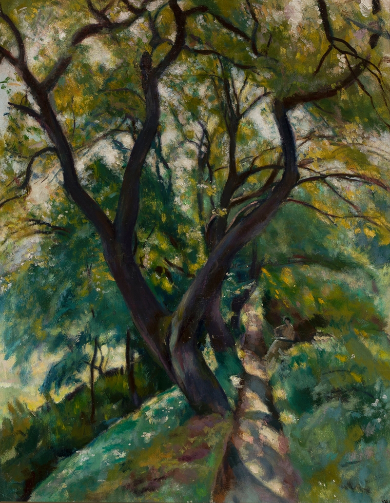 Деревья by Войцех Вейс, 1917 — digital art print download