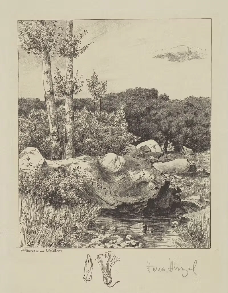 At a Stream by Hermann Hirzel, 1895 — digital art print download