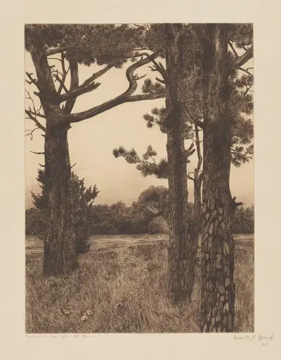 Озеро в лесу by Герман Хирцель, 1900 — digital art print download