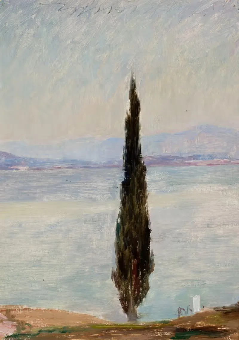 Cypress. From the journey to Constantinople — Jan Ciągliński