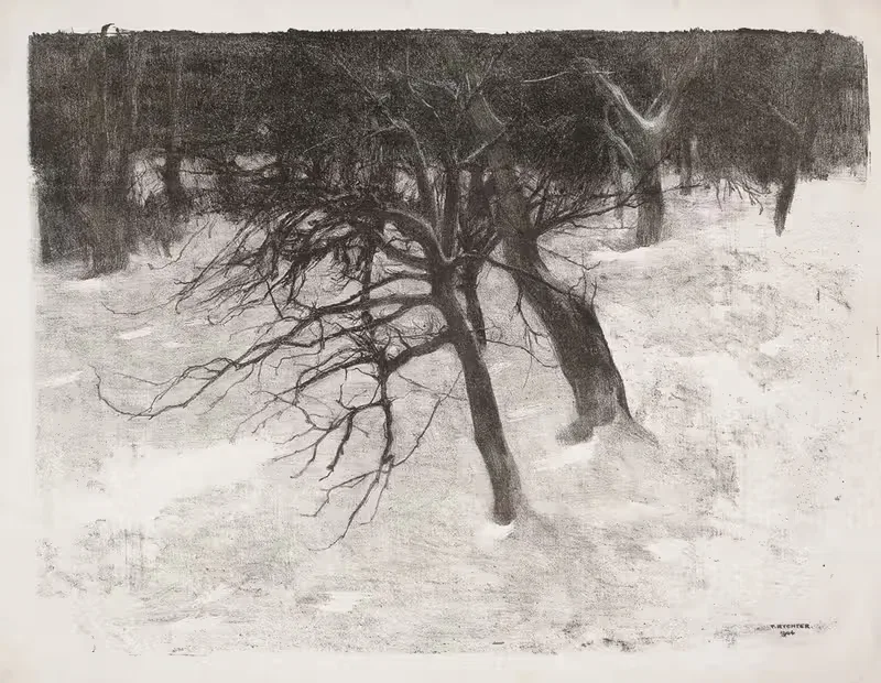 Деревья в снегу by Тадеуш Рихтер, 1904 — digital art print download