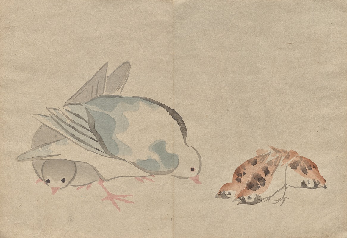 The Kōrin Picture Book Pl.04 — Hōchū Nakamura
