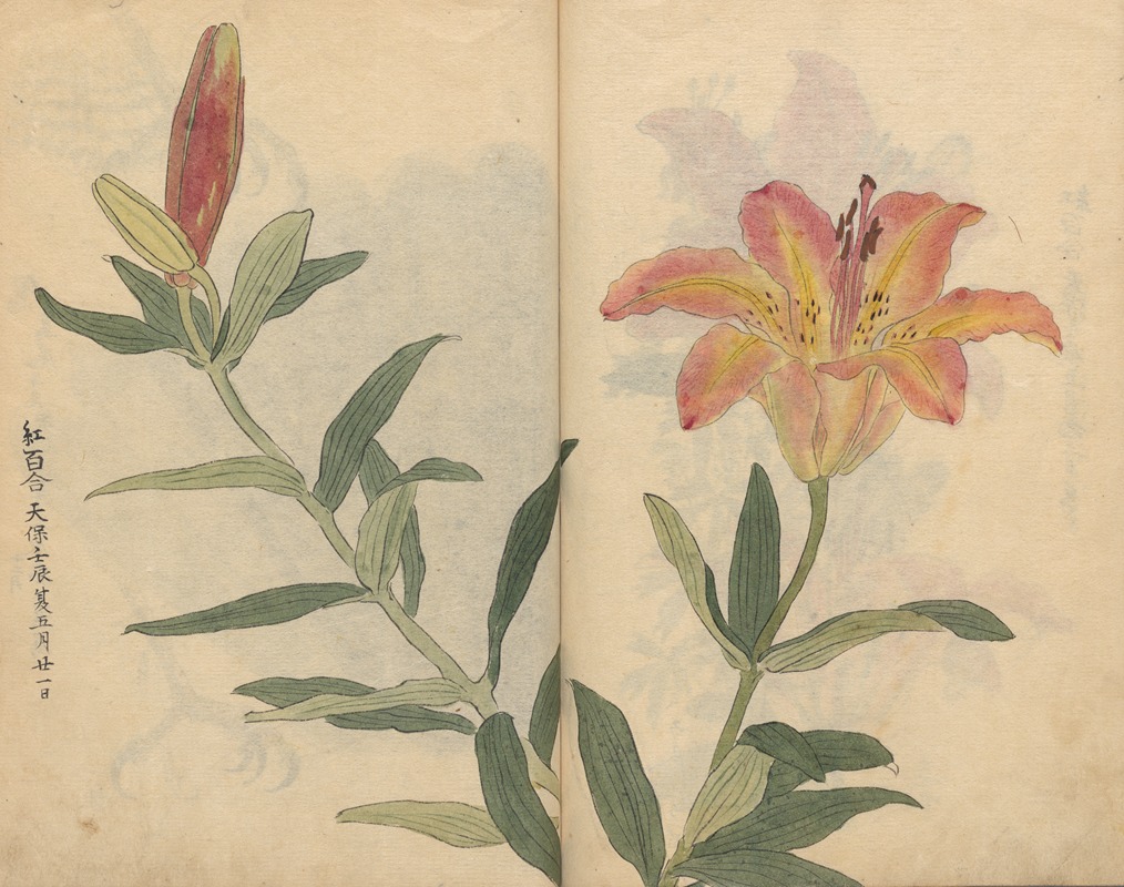 Sketchbook Pl.002 by Ariyoshi Kondo, 1826-1840 — digital art print download