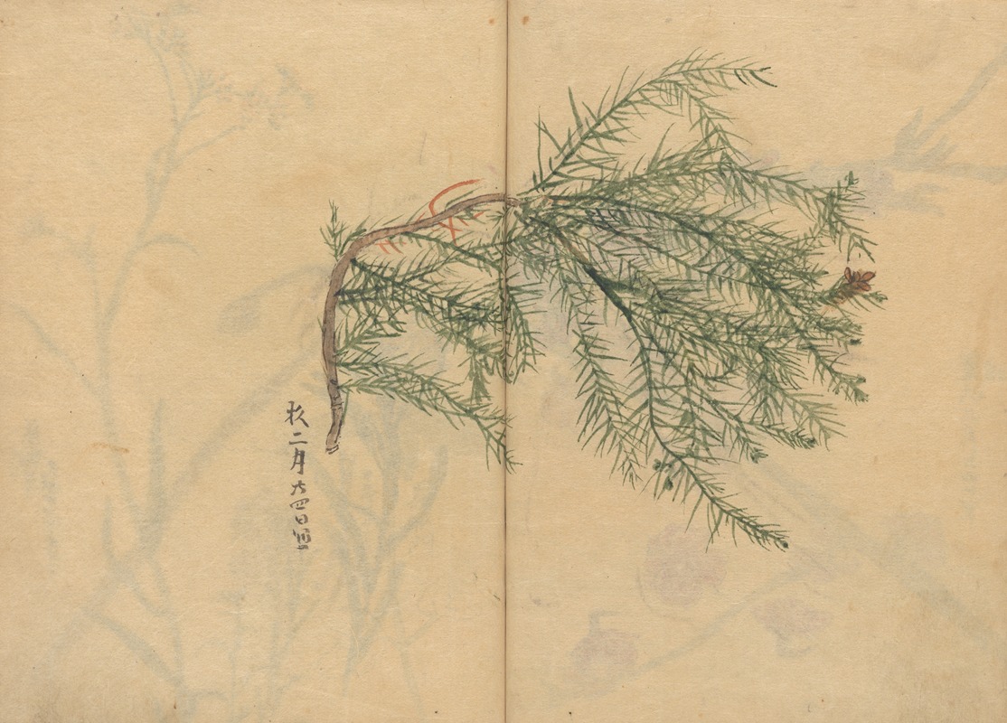 Sketchbook Pl.003 by Ariyoshi Kondo, 1826-1840 — digital art print download