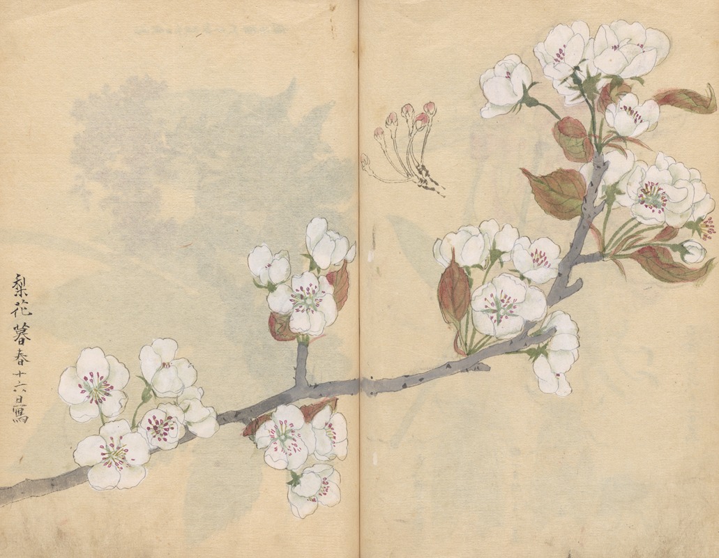 Sketchbook Pl.006 by Ariyoshi Kondo, 1826-1840 — digital art print download