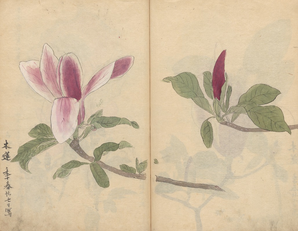 Sketchbook Pl.007 by Ariyoshi Kondo, 1826-1840 — digital art print download