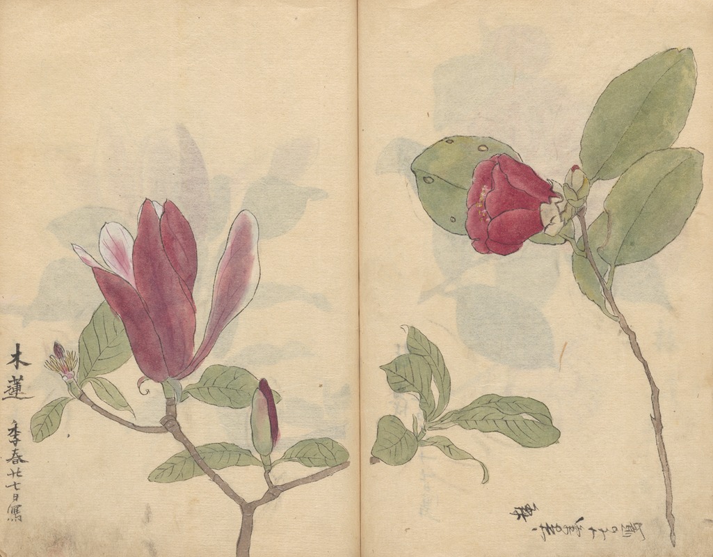 Sketchbook Pl.008 by Ariyoshi Kondo, 1826-1840 — digital art print download