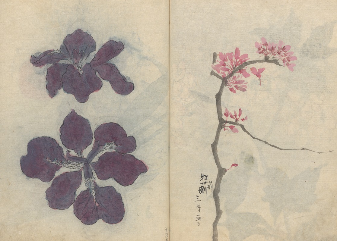 Sketchbook Pl.009 by Ariyoshi Kondo, 1826-1840 — digital art print download