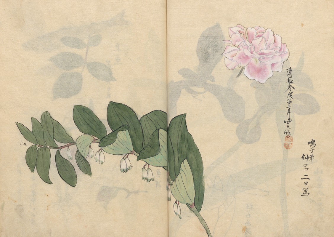 Sketchbook Pl.011 by Ariyoshi Kondo, 1826-1840 — digital art print download