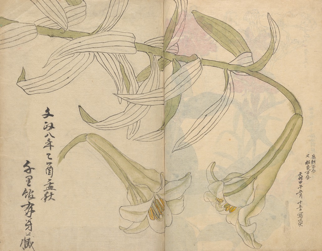 Sketchbook Pl.012 by Ariyoshi Kondo, 1826-1840 — digital art print download