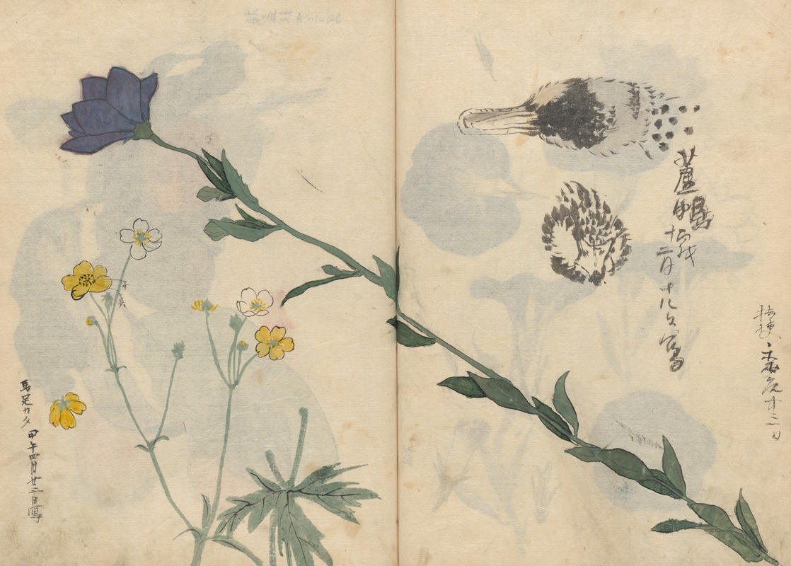 Sketchbook Pl.013 by Ariyoshi Kondo, 1826-1840 — digital art print download