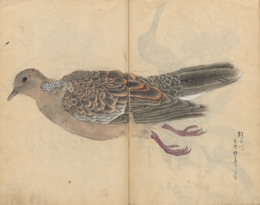 Sketchbook Pl.016 by Ariyoshi Kondo, 1826-1840 — digital art print download