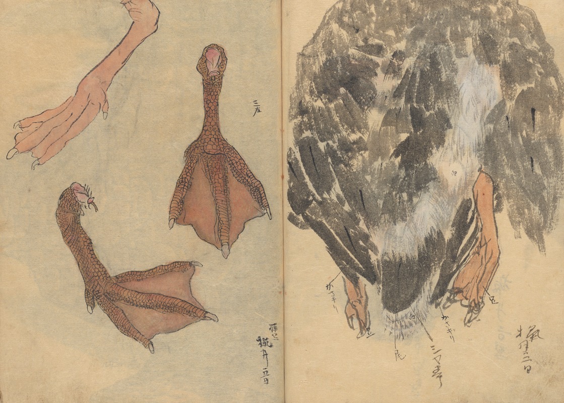 Sketchbook Pl.020 by Ariyoshi Kondo, 1826-1840 — digital art print download