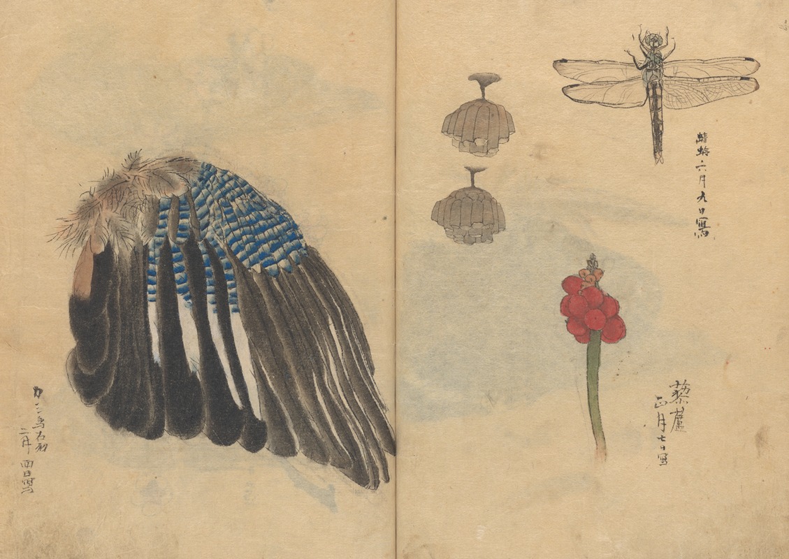 Sketchbook Pl.023 by Ariyoshi Kondo, 1826-1840 — digital art print download
