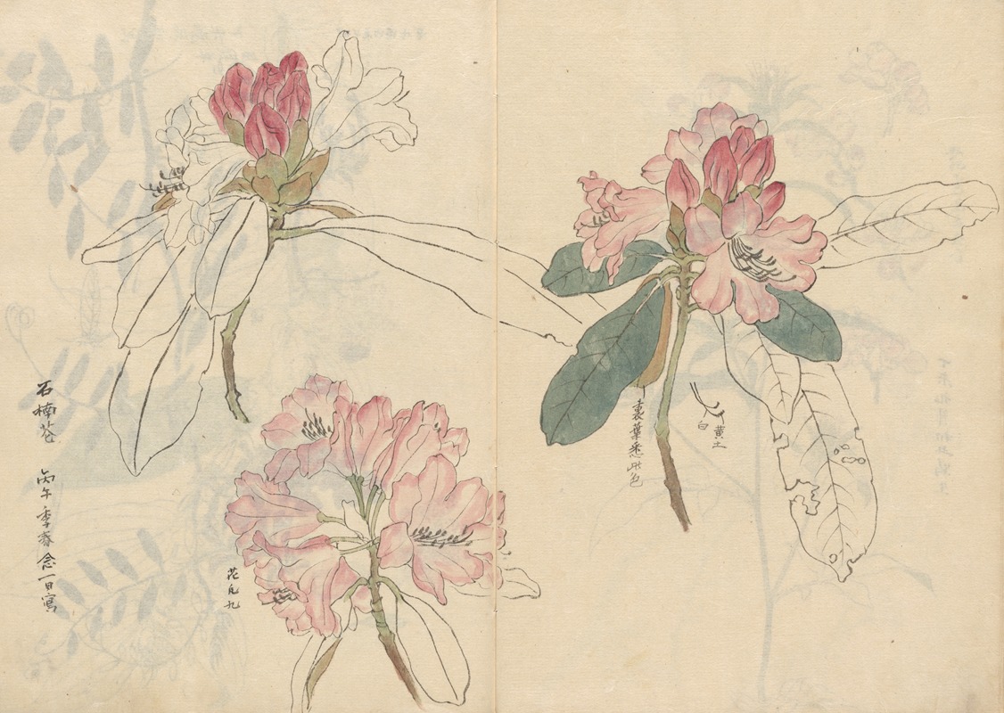 Sketchbook Pl.024 by Ariyoshi Kondo, 1826-1840 — digital art print download