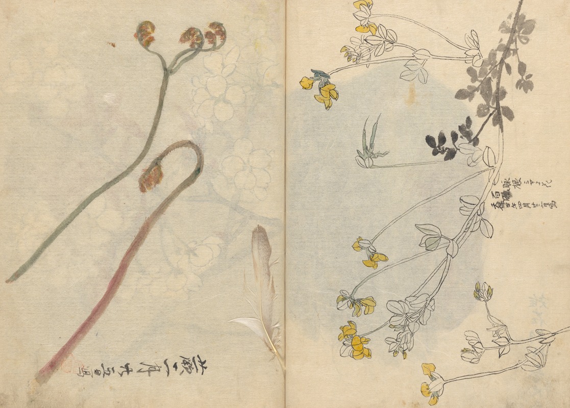 Sketchbook Pl.026 by Ariyoshi Kondo, 1826-1840 — digital art print download
